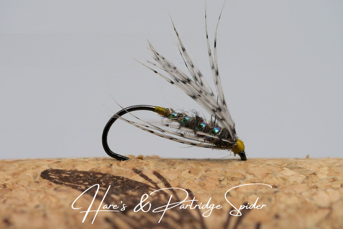 Artisan Spider Selection