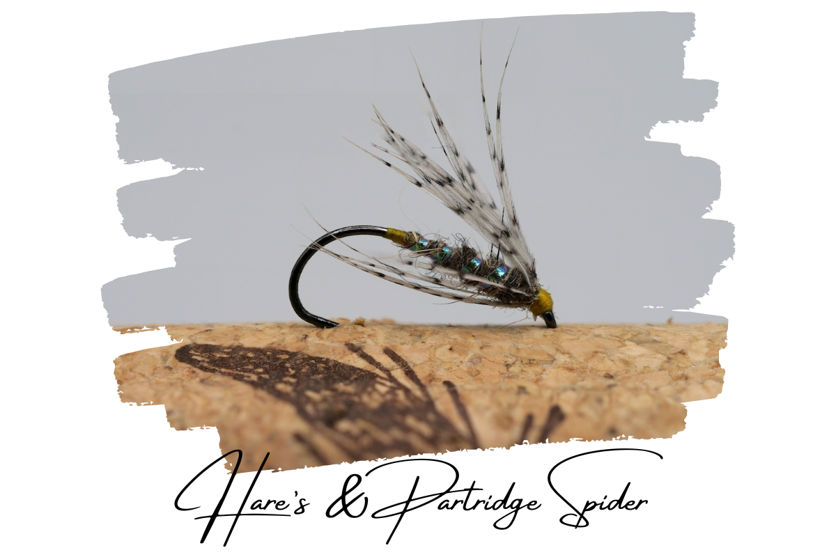Hare's & Partridge Spider