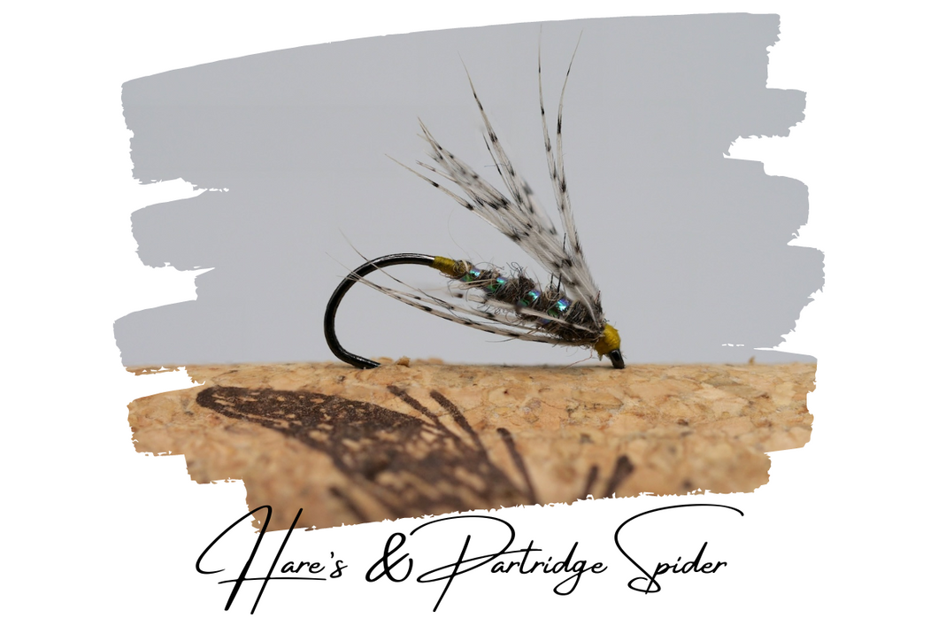 Hare's & Partridge Spider