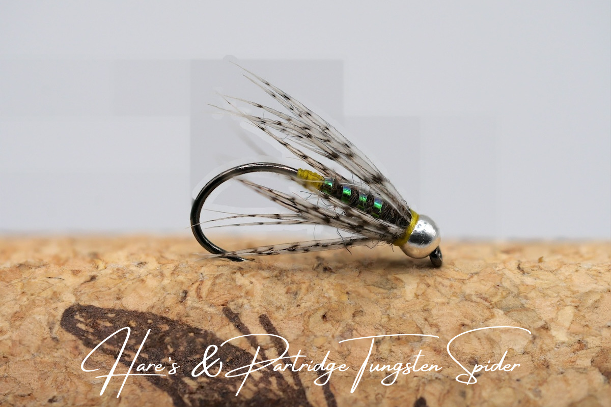 Artisan Luxury Spider Selection