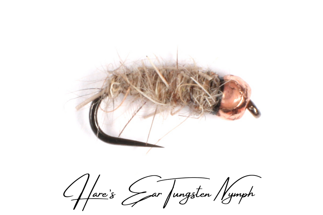 Hare's Ear Tungsten Nymph