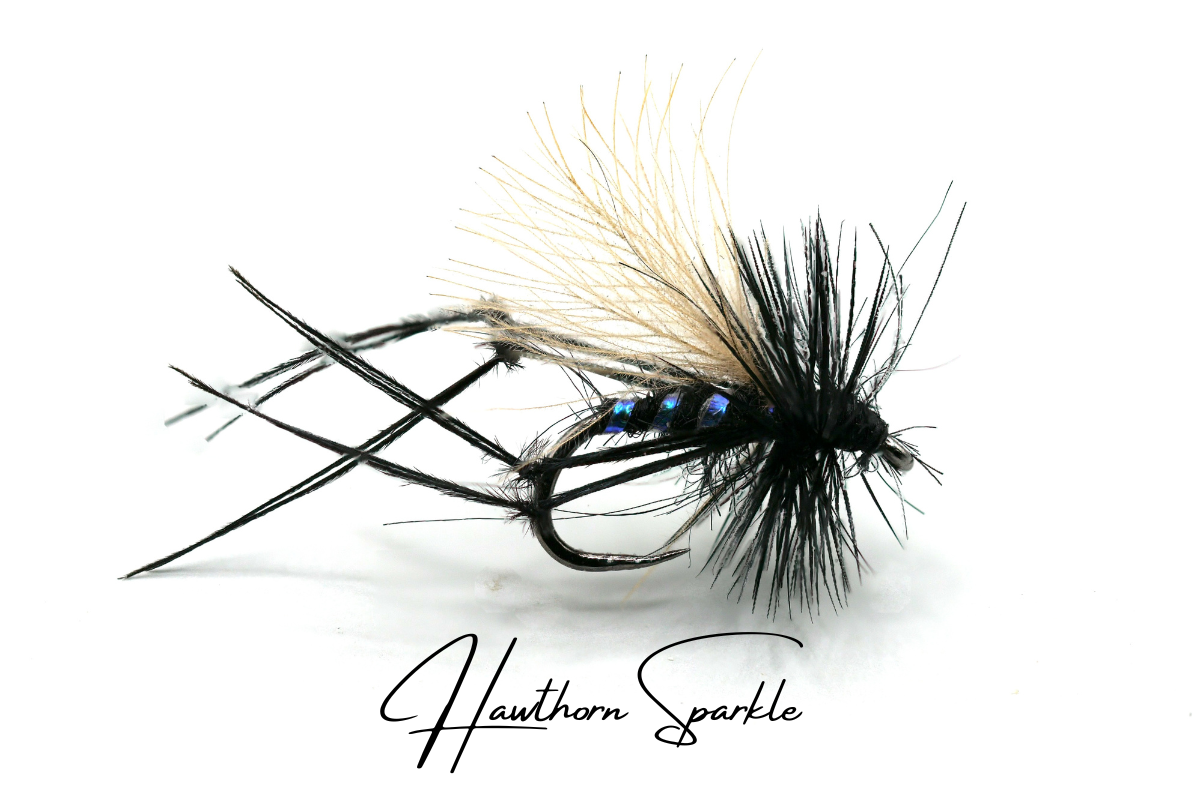 Hawthorn Sparkle CdC
