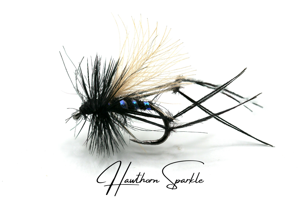 Hawthorn Sparkle CdC