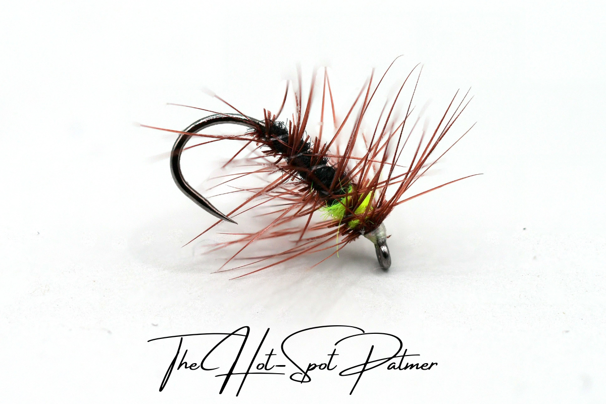 The Hot-Spot Palmer