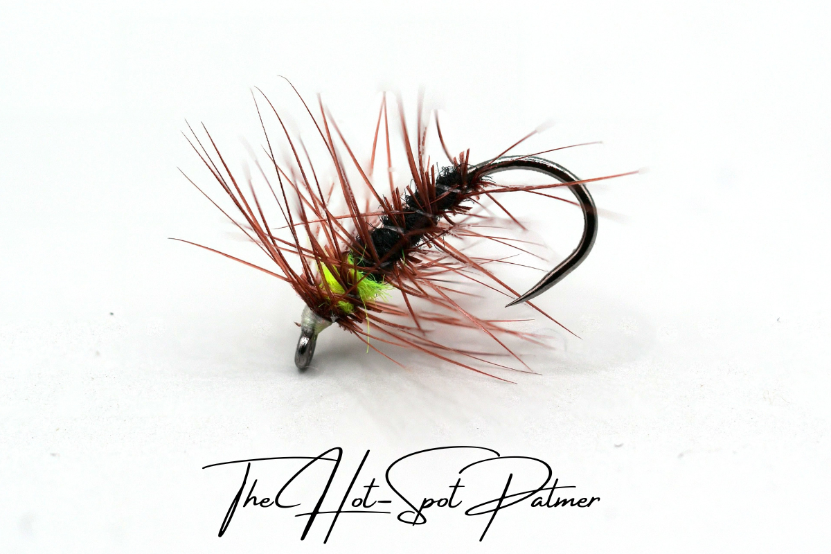 The Hot-Spot Palmer