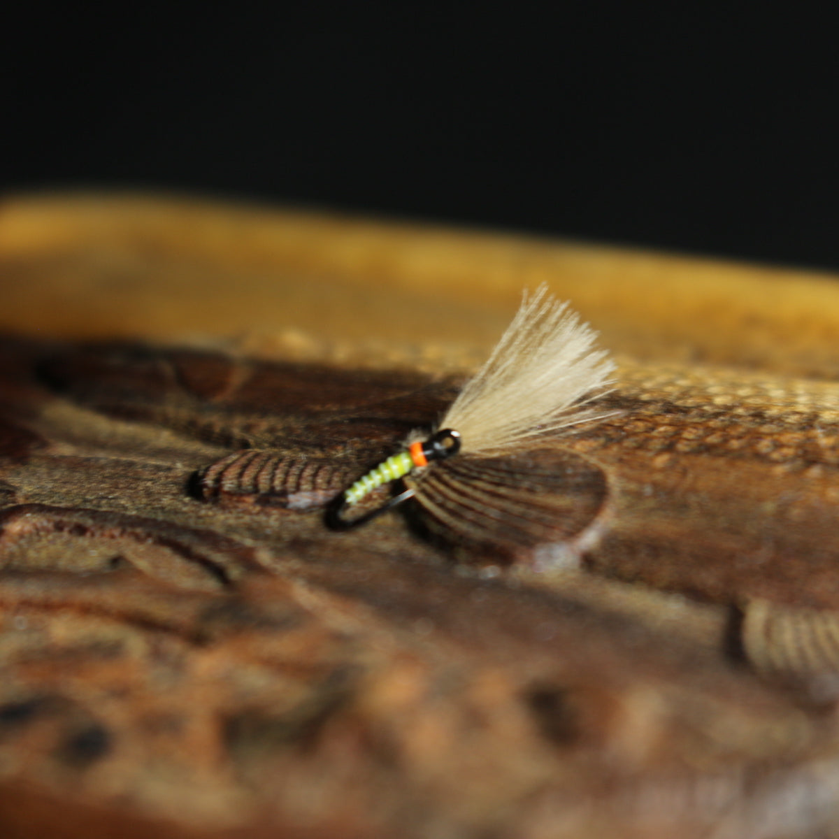 Bosnian Late-Season Dry Fly Selection