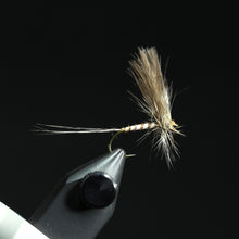 Load image into Gallery viewer, Bosnian Mayfly Selection
