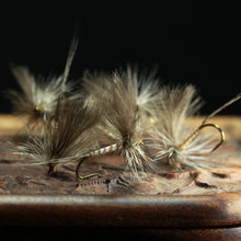 Load image into Gallery viewer, Bosnian Mayfly Selection
