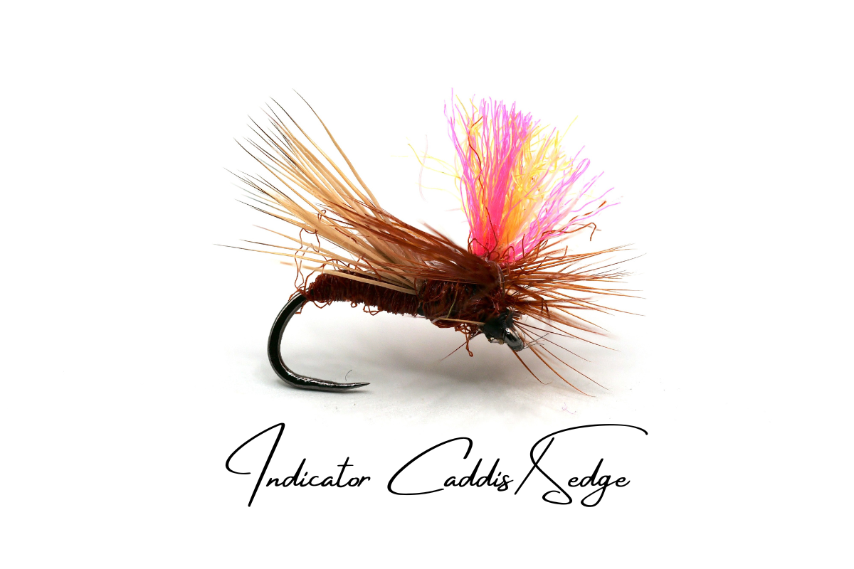Indicator Sedge/Caddis