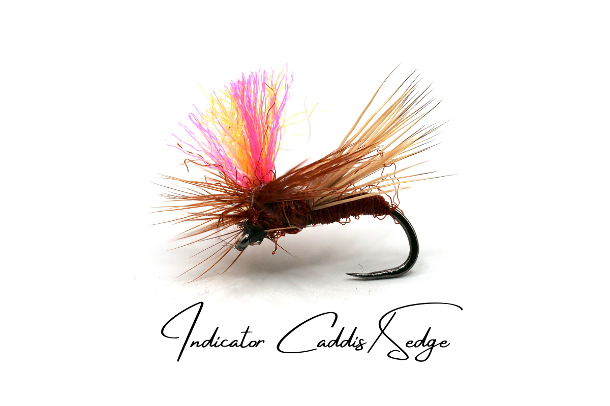 Indicator Sedge/Caddis