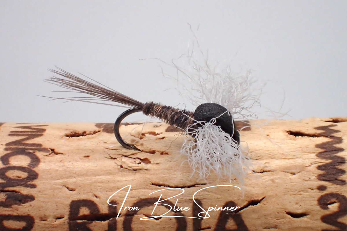 Iron Blue Spinner