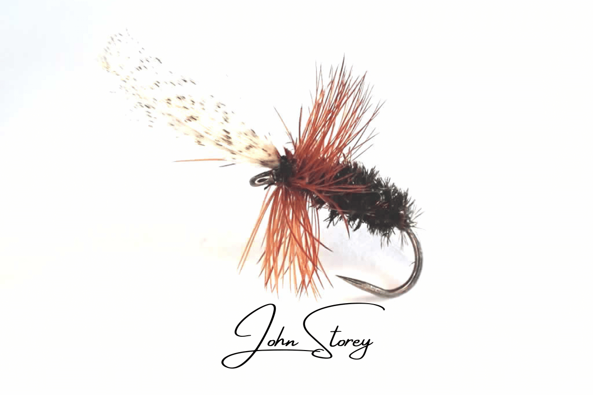 John Storey - Yorkshire Dry