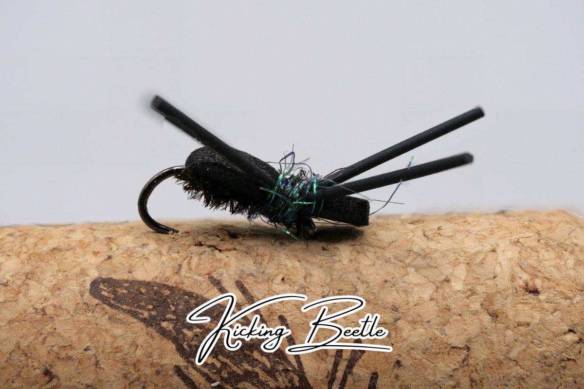 The Kicking Beetle