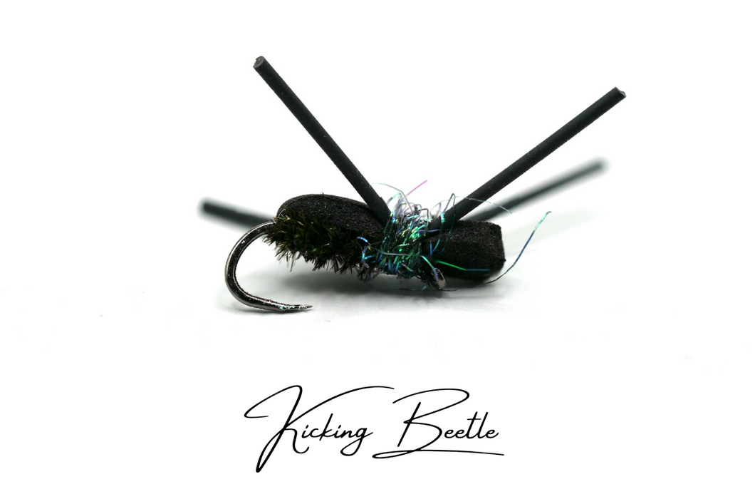 The Kicking Beetle