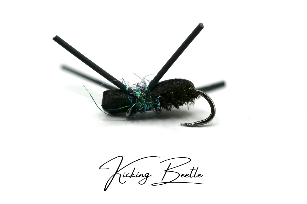 The Kicking Beetle