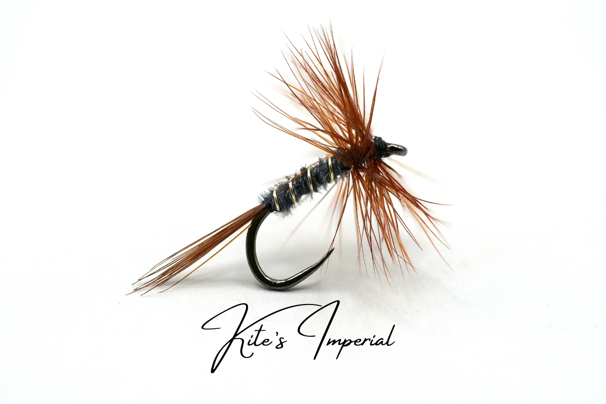 Specialist Dry Selection - New for 2026