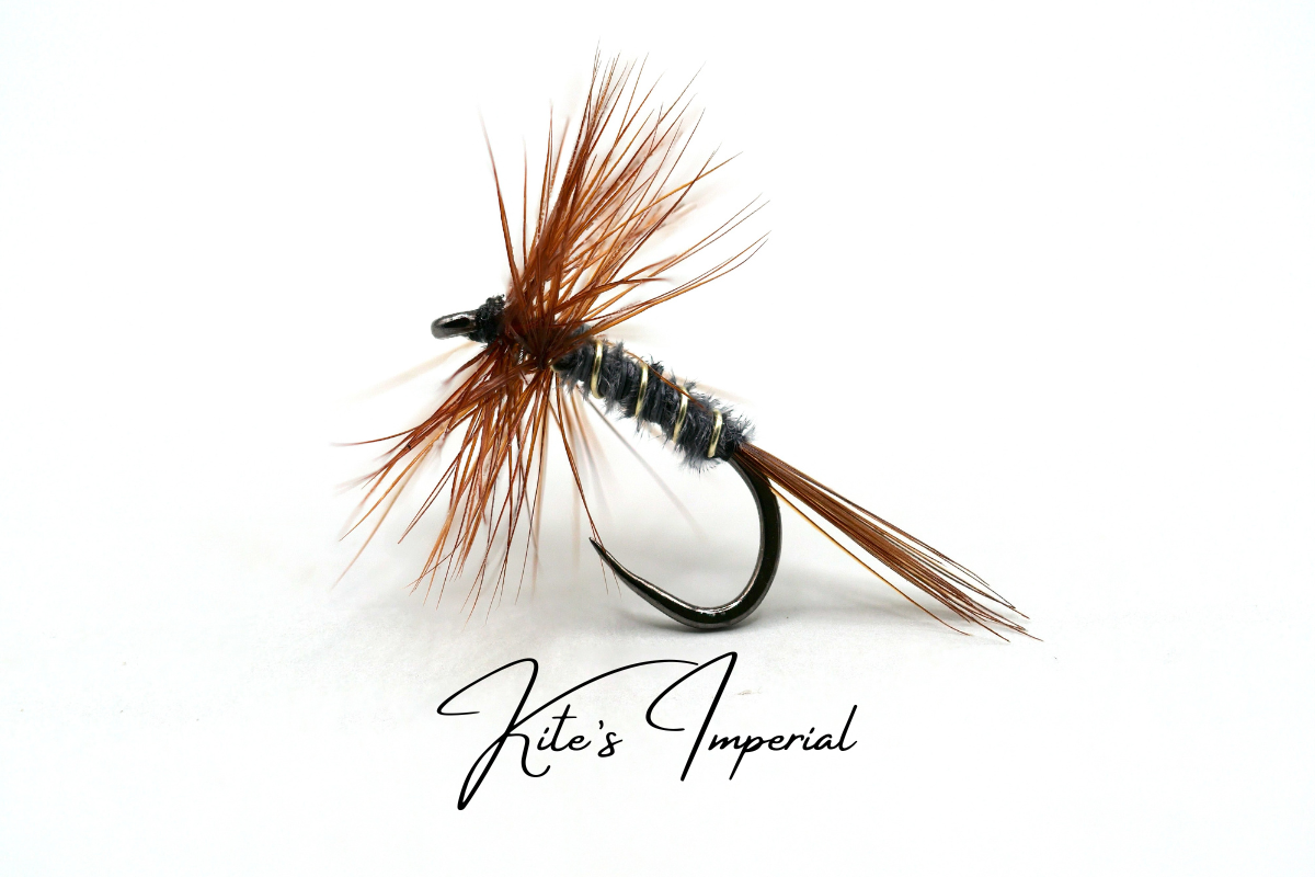 Specialist Dry Selection - New for 2026