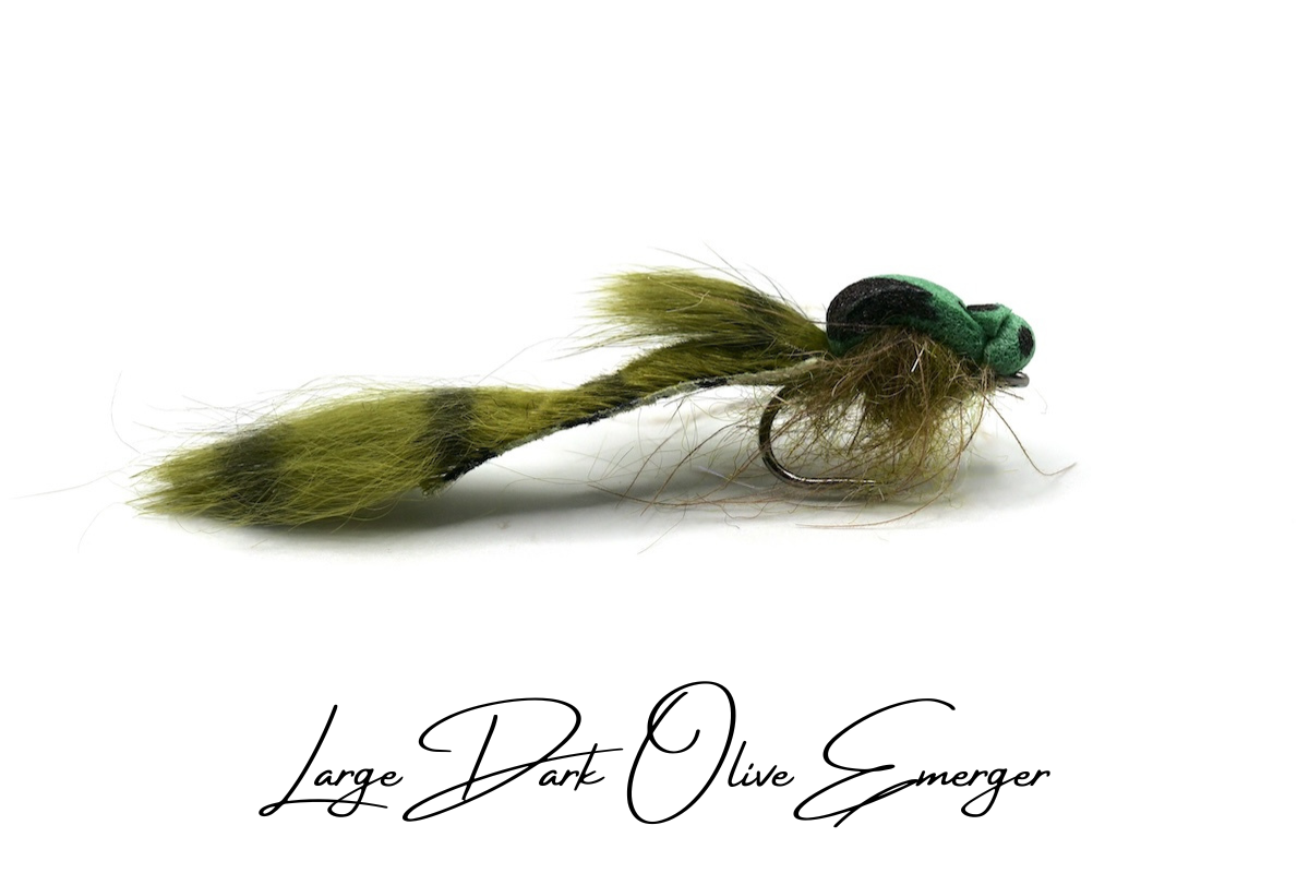Large Dark Olive 'Trailing Shuck' Emerger