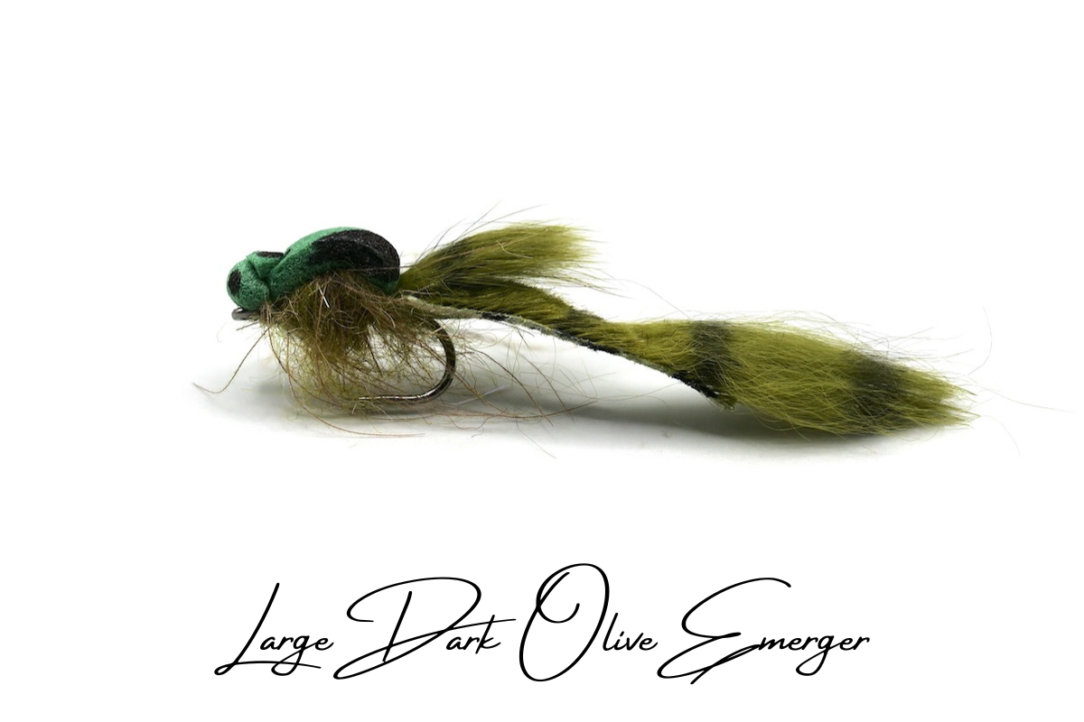 Large Dark Olive 'Trailing Shuck' Emerger