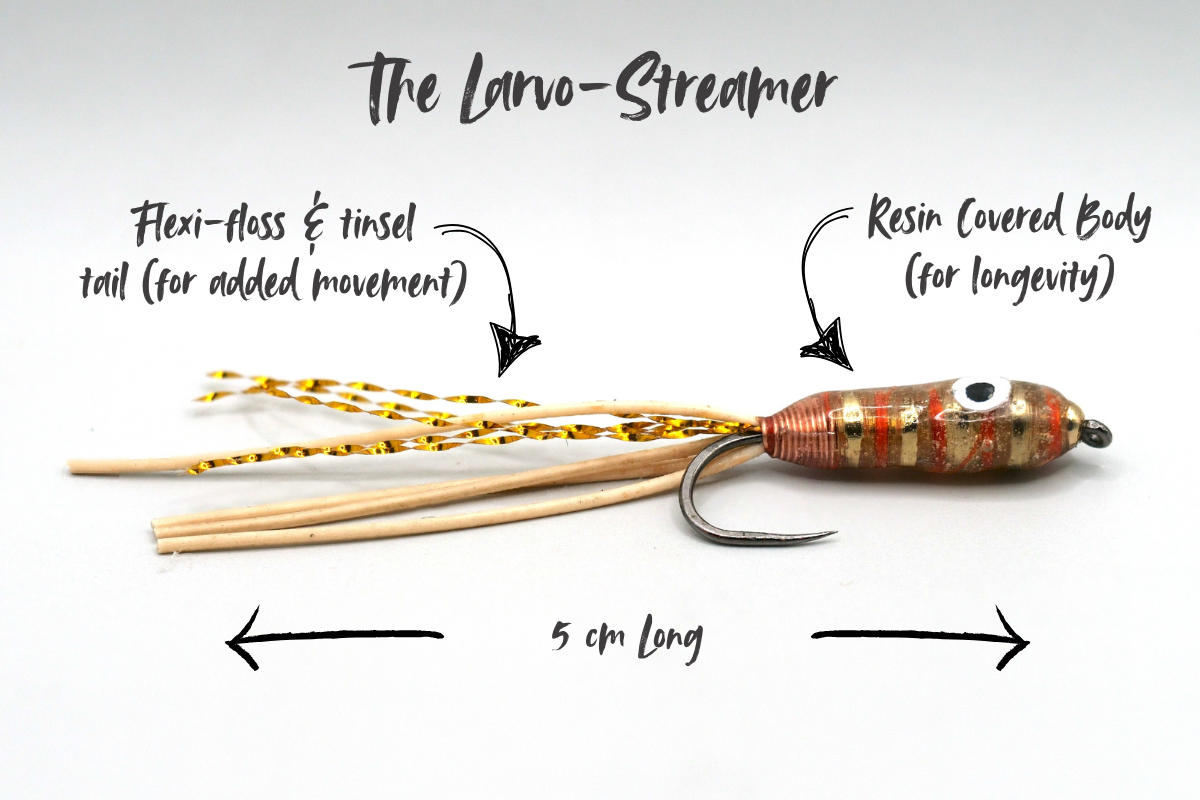 The Larvo-Streamer Selection