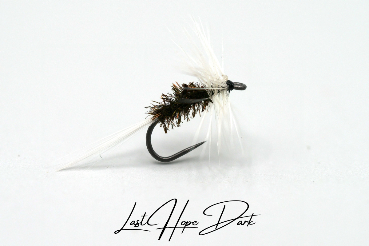Last Hope - Dark