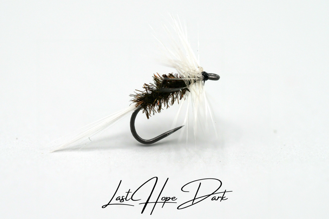 Last Hope - Dark