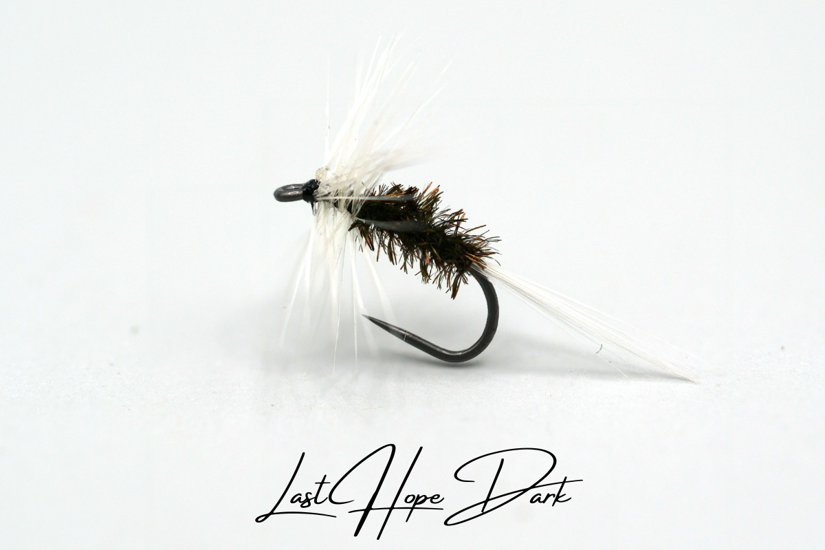 Last Hope - Dark