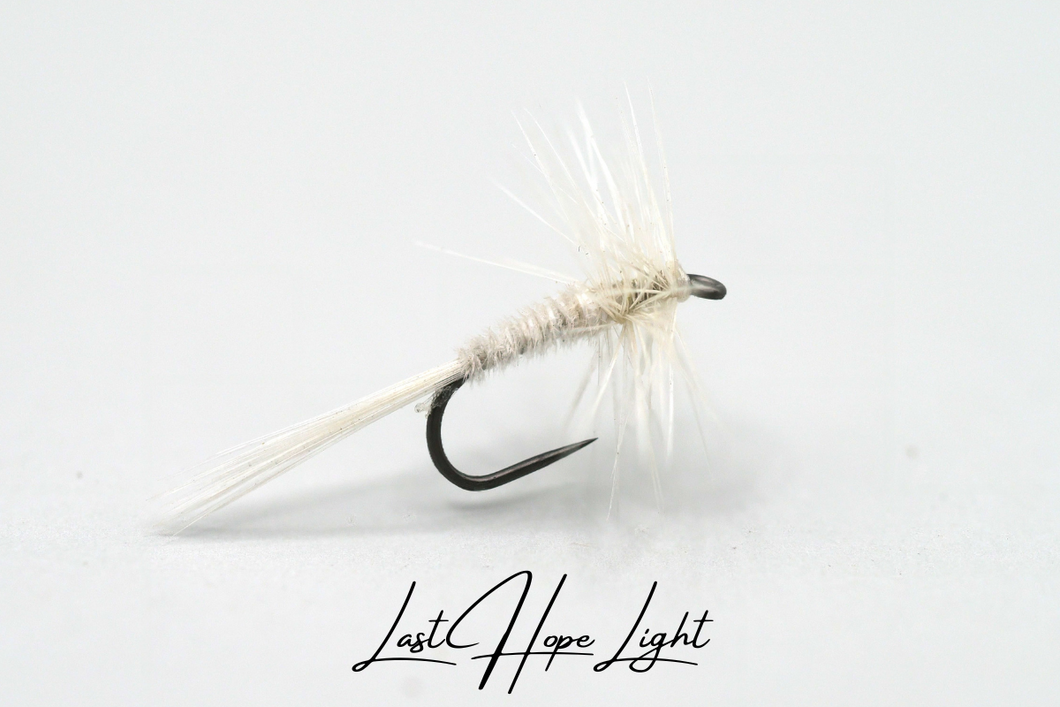 Last Hope - Light