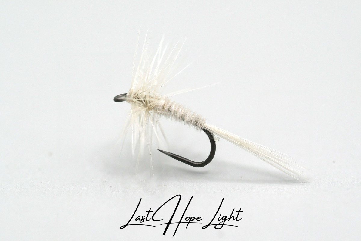 Last Hope - Light