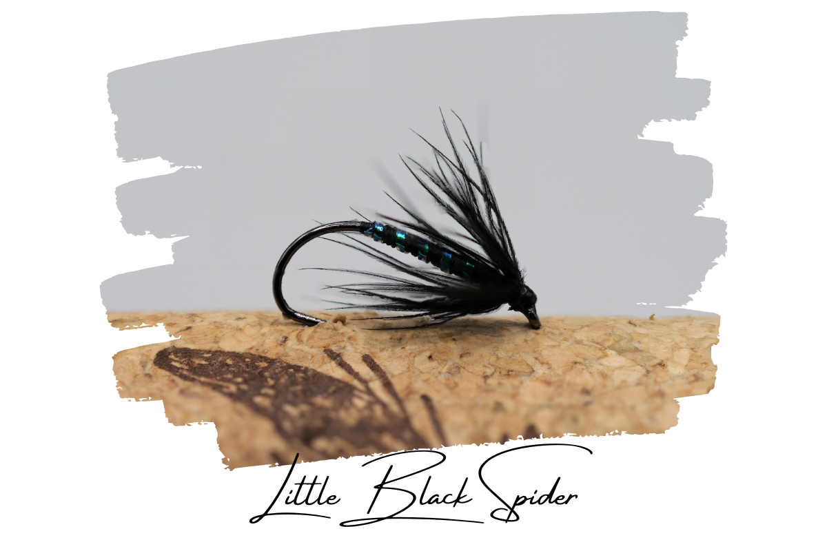 Little Black Spider