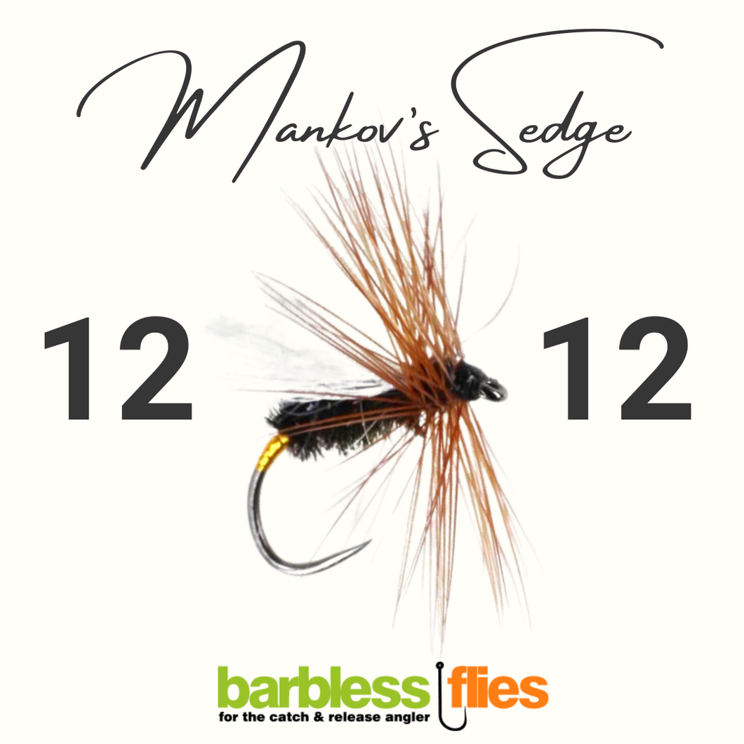 Mankov's Sedge