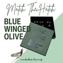 Load image into Gallery viewer, Match The Hatch Selection - Blue-Winged Olive
