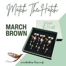 Load image into Gallery viewer, Match The Hatch Selection - March Brown

