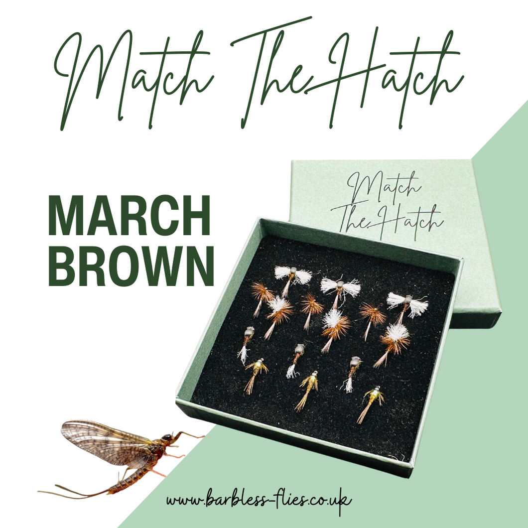 Match The Hatch Selection - March Brown
