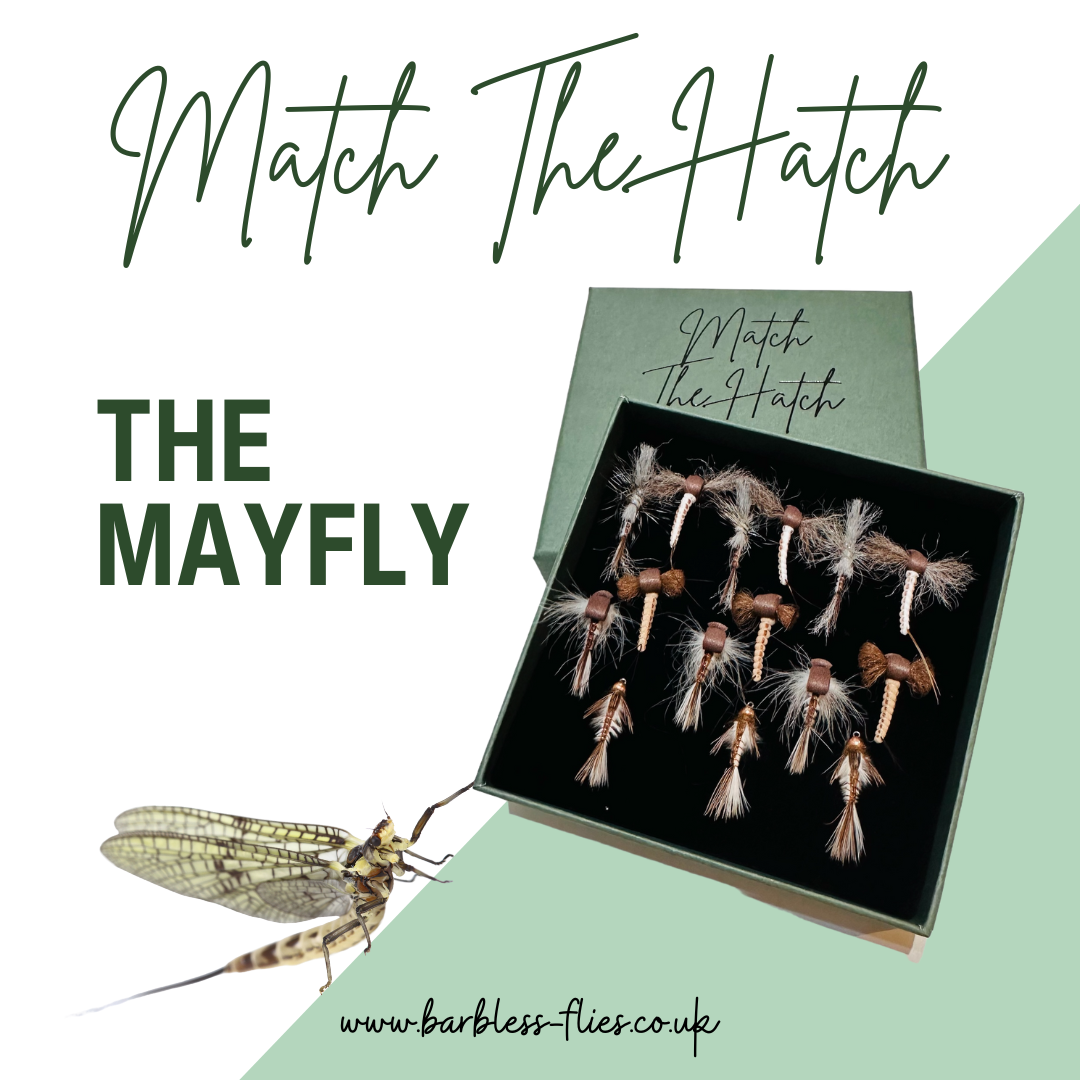 Match The Hatch Selection - Mayfly