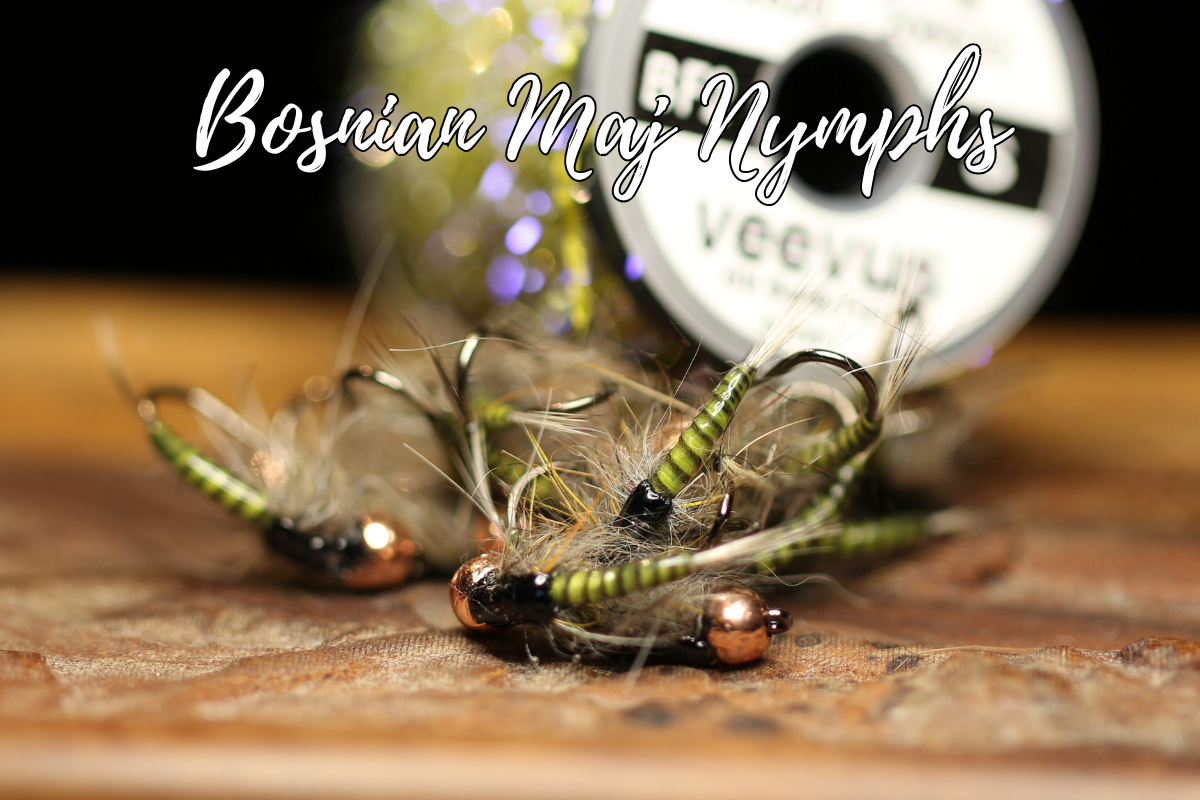 Bosnian Maj Nymphs