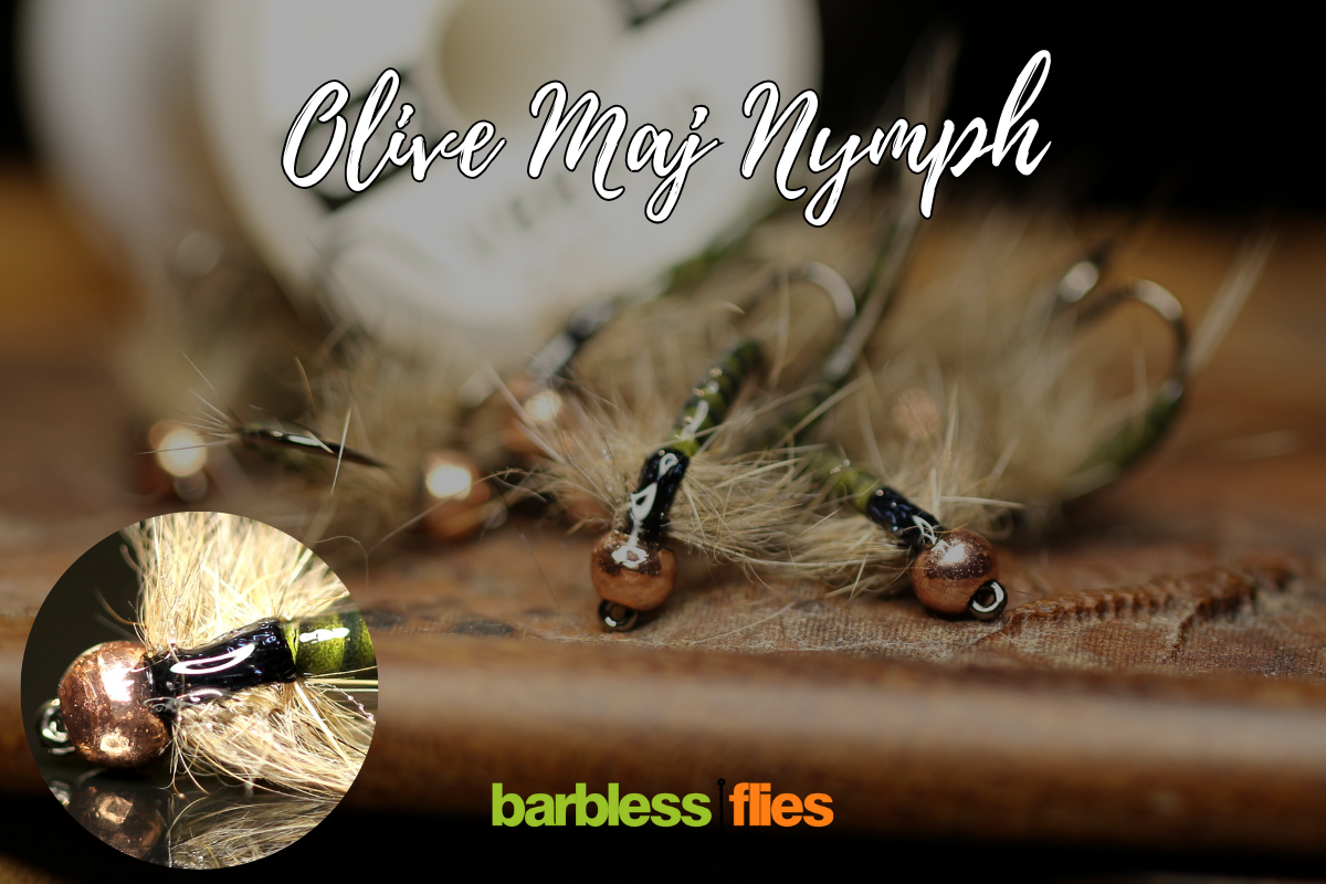 Bosnian Maj Nymphs