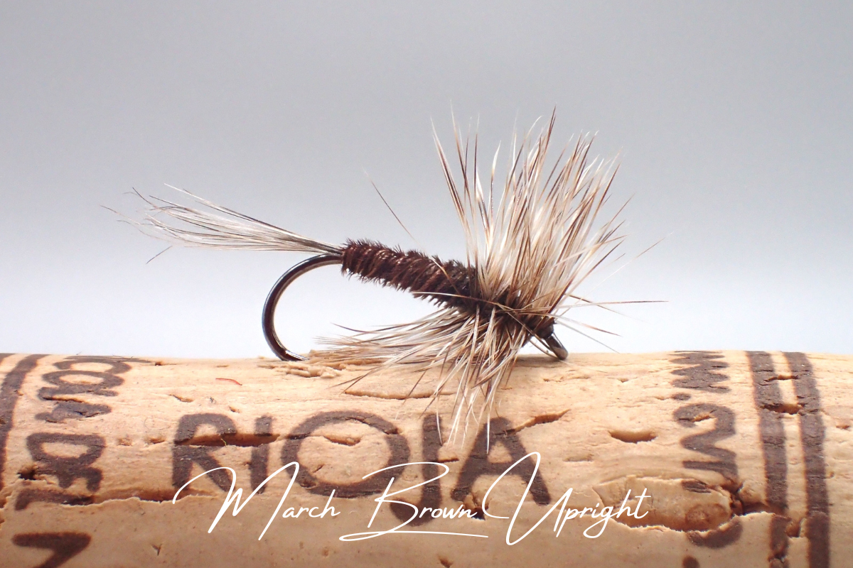 March Brown Upright