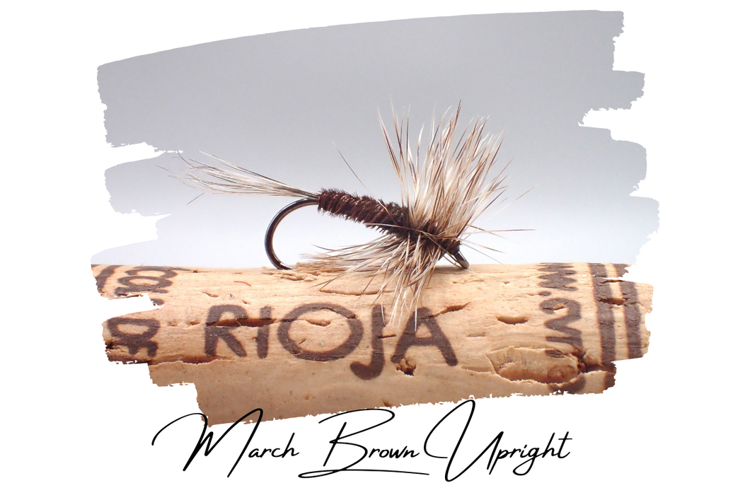 March Brown Upright