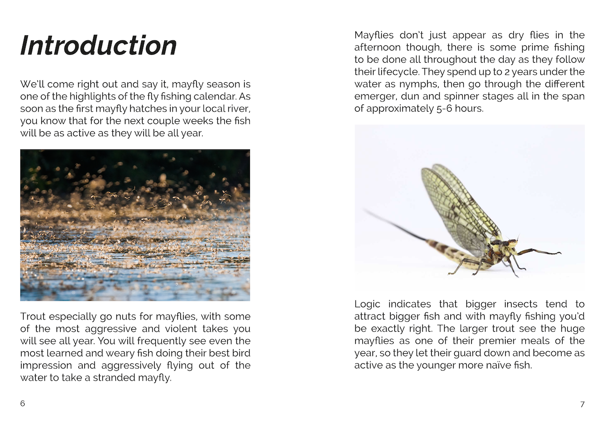 FLY Series: Fishing The Mayfly