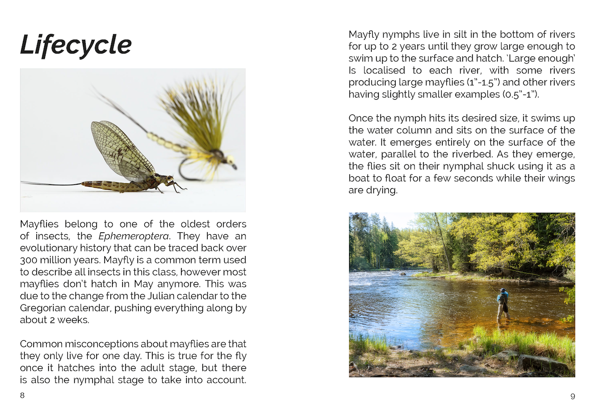 FLY Series: Fishing The Mayfly