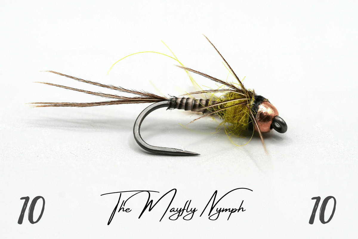 Mayfly Nymph