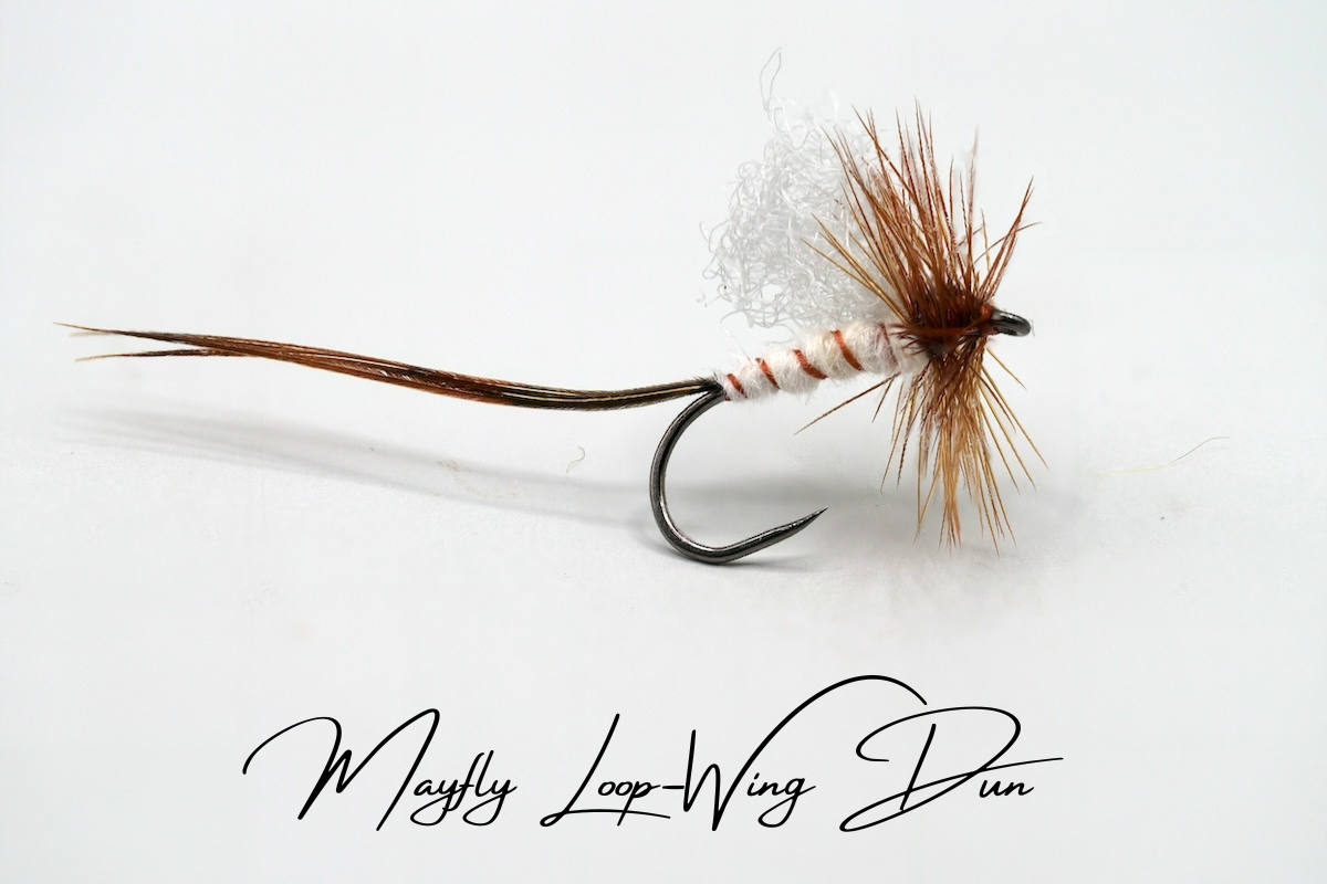 Artisan Mayfly Loop-Winged Dun
