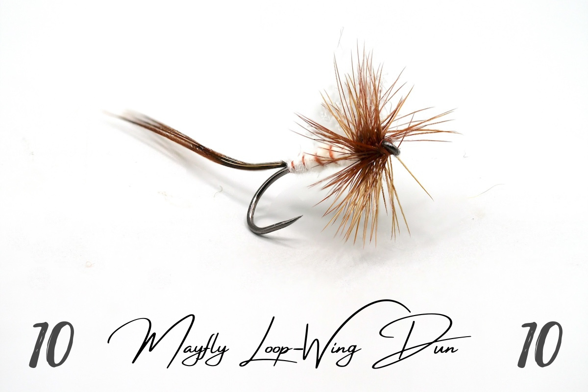 Artisan Mayfly Loop-Winged Dun