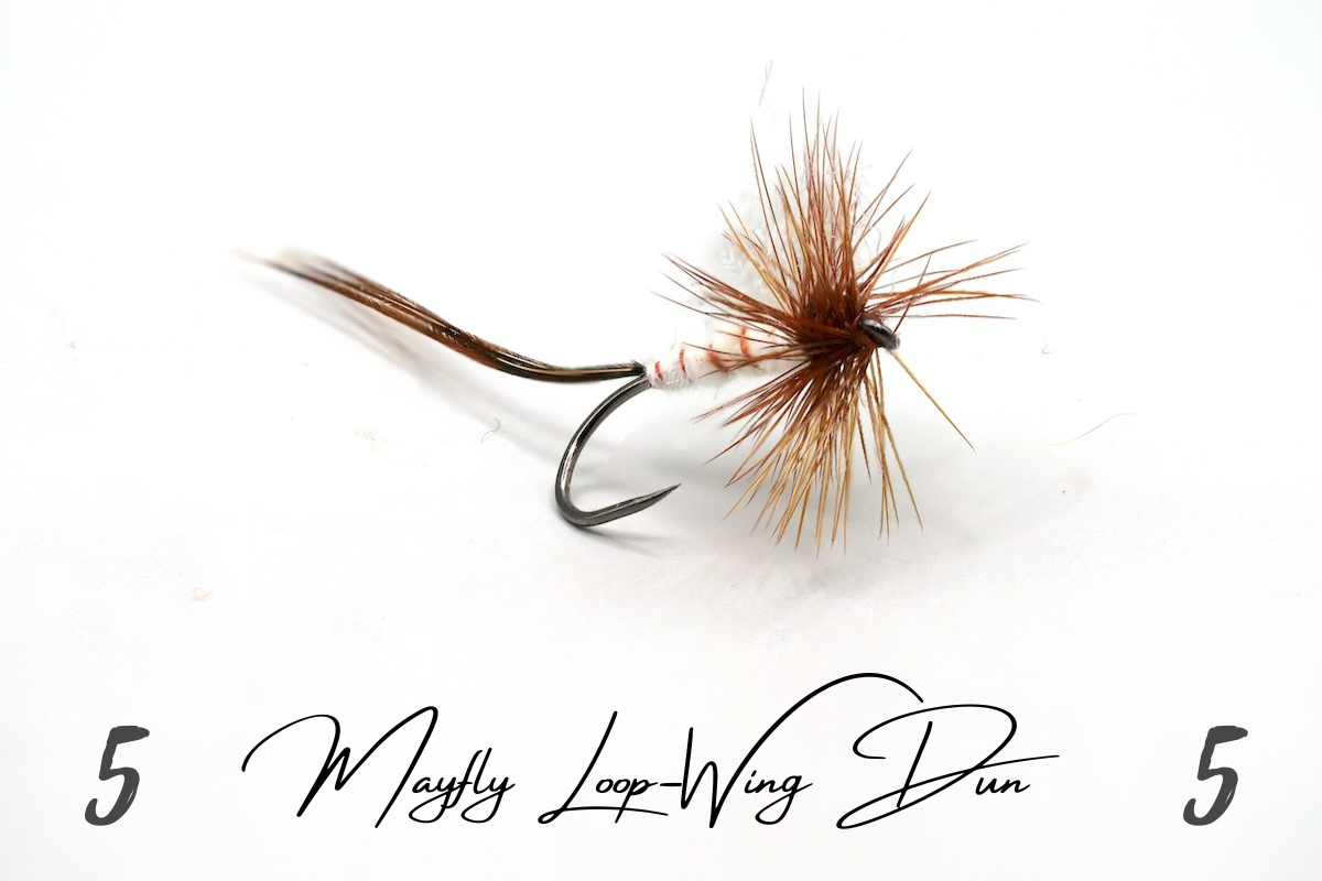 Artisan Mayfly Loop-Winged Dun