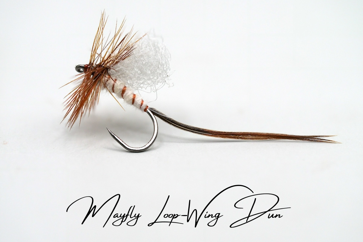 Artisan Mayfly Loop-Winged Dun