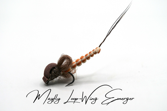 Artisan Mayfly Loop-Winged Emerger