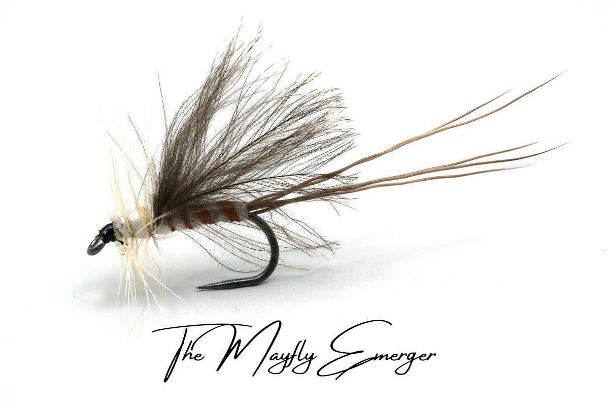 CdC Mayfly Dun