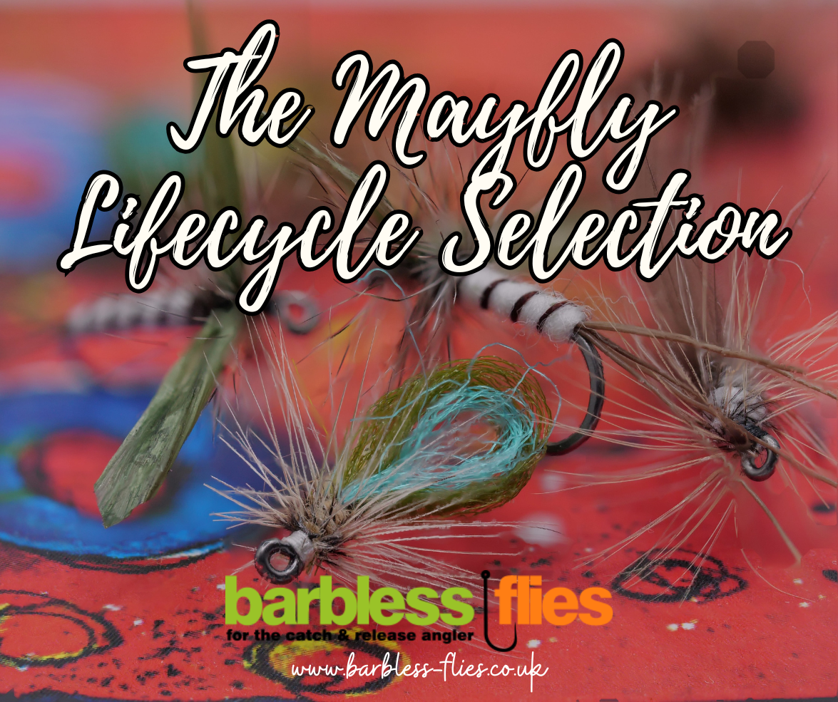 Mayfly (Full Lifecycle) Selection - Updated for 2025
