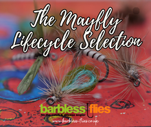 Load image into Gallery viewer, Mayfly (Full Lifecycle) Selection - Updated for 2025
